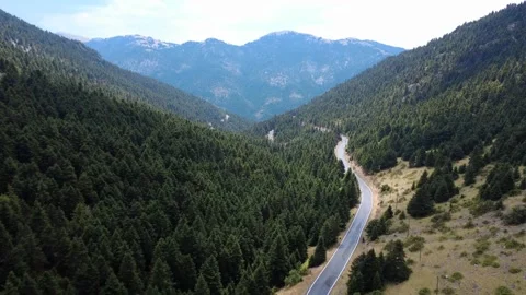 Mountain highway winding through quiet fir valley in autumn landscape Stock Footage 326353192