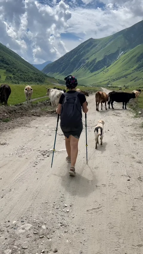 Mountain Hike Adventure Stock Footage 310821228