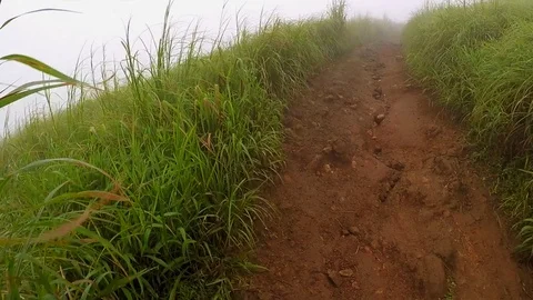 Mountain hike Stock Footage 92425169