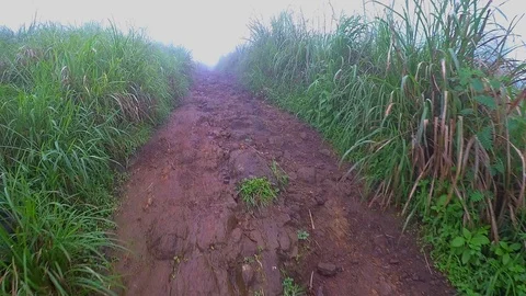 Mountain hike Stock Footage 92744354