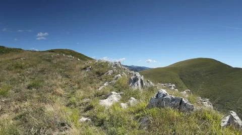 Mountain hiker with dog Stock Footage 45533489