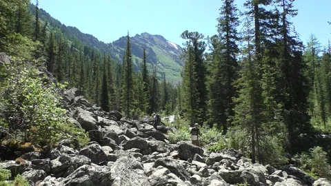 Mountain hiking Video stock 108108337