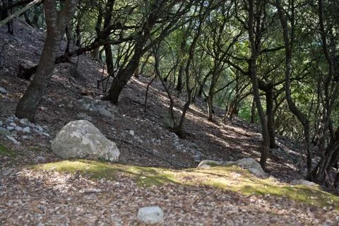 Mountain hiking terrain Stock Photos