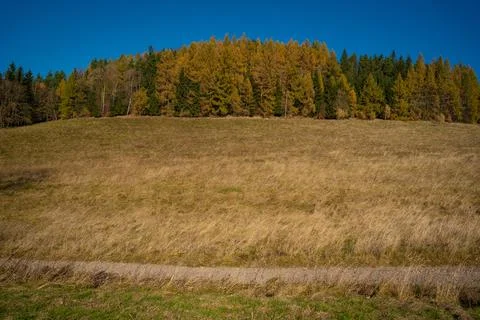 Mountain hiking trail during the fall season. Stock Photos