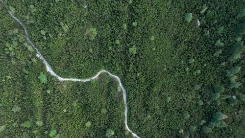 Mountain hiking trail Stock Footage 150629256