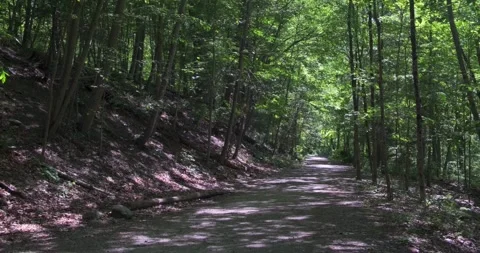 Mountain Hiking trail in forest with tree shadow on sunny day - 4K Nature Stock Footage 242867988