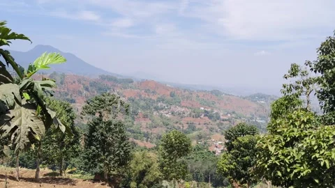 Mountain hill landscape view with green trees and blue sky Stock Footage 346773211
