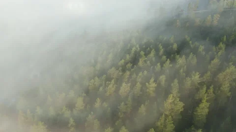 Mountain hill side covered in mist &amp; fog, aerial view Stock Footage 142101295