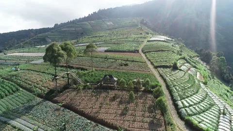 Mountain Hill View Stock Footage 143960598