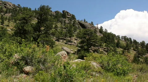 Mountain Hillside  Video stock 810139