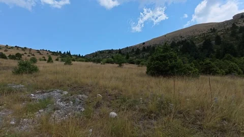 Mountain hillside meadow with hiking path and fir trees under overcast sky Video stock 327560470