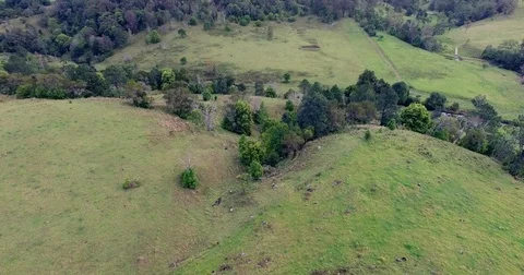Mountain hinterland of Springbrook Stock Footage 71174942