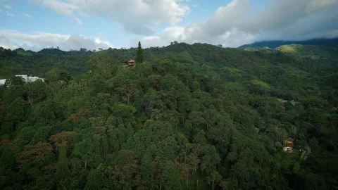 Mountain Homes Surrounded by Lush Greenery and Winding Roads Video stock 316794812