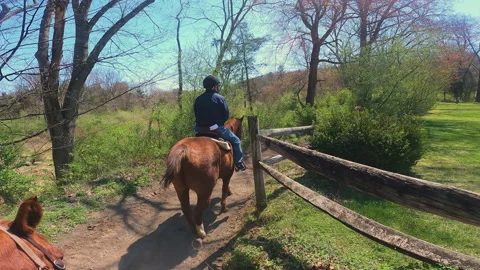 Mountain Horse Rides 스톡 동영상 195041480
