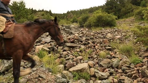 Mountain horses, mountain excursion on horseback. Stock Footage 124534757
