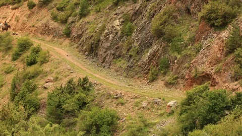 Mountain horses, mountain excursion on horseback. Stock Footage 124534870
