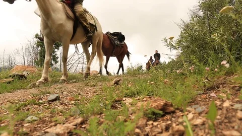 Mountain horses, mountain excursion on horseback. Stock Footage 124545616