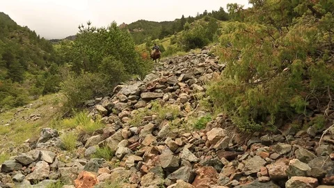 Mountain horses, mountain excursion on horseback. Stock Footage 124545700