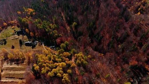 Mountain house in the forest Video stock 196421529