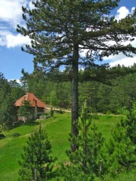 Mountain house Stock Photos