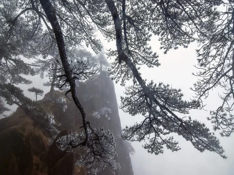 Mountain Huangshan, Anhui, China. Stock Footage