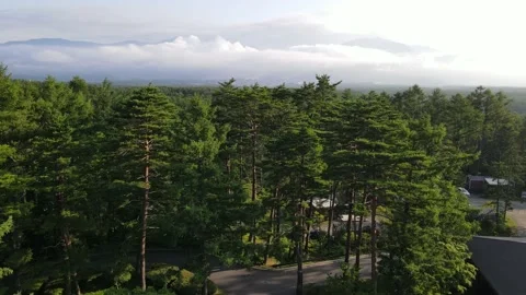 Mountain With Huge Green Trees Drone Shot in Japan 스톡 동영상 161051792