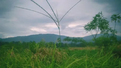Mountain ia full of natural Stock Footage 169350104