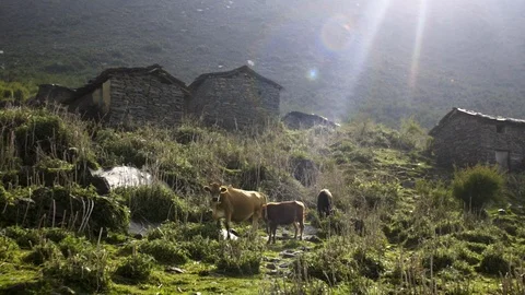 Mountain indian village on slope Stock Footage