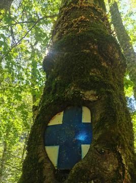Mountain indicator in a tree on a mountain route from the Bucegi mountain Stock Photos