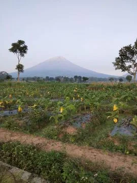 Mountain Indonesia 스톡 사진