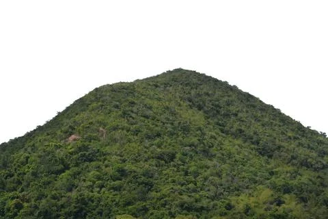 Mountain isolated on white background.. Stock Photos