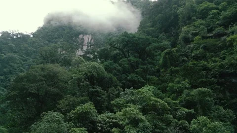 Mountain jungle on a very cloudy day Stock Footage 279251845