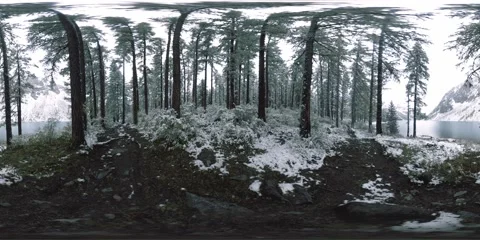Mountain lake 360 vr at the winter time. Wild nature and mount valley. Green Stock Footage 169667167