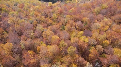 Mountain lake aerial Stock Footage 47456209