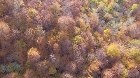 Mountain lake aerial 库存影片 47456599