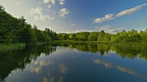 Mountain lake and forest, panoramic view Stock Footage 145102498