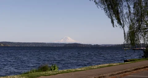Mountain with lake and tree in foreground Stock Footage 165265952