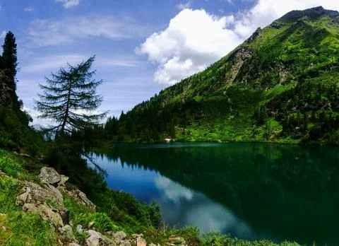 Mountain lake between mountains with trees and rocks Stock Photos