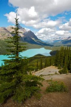 Mountain lake in the canadian rockies Stock Photos