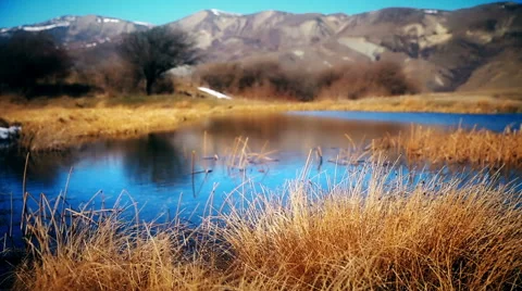 Mountain lake. Close up Video stock 63371699