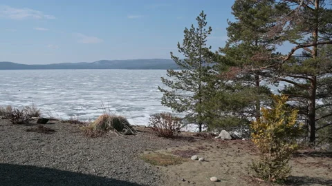 Mountain lake covered with ice. Tree trunks stick out of the lake. A touristy Stock Footage 236987184