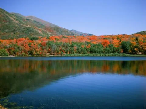 Mountain Lake in Fall Fotos Stock