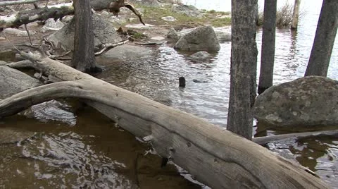 Mountain Lake Stock Footage 12766456