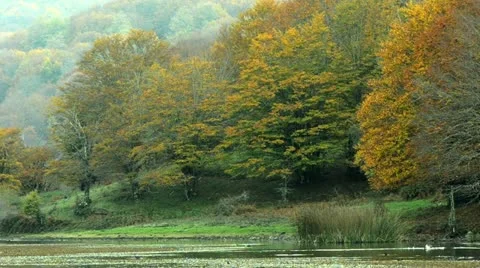 Mountain Lake Stock-Footage 20434399