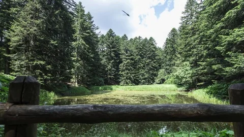 Mountain lake Stock Footage 77888032