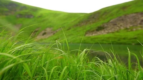 Mountain Lake Video stock 80020082