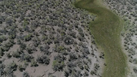 Mountain Lake Vidéo 137864228