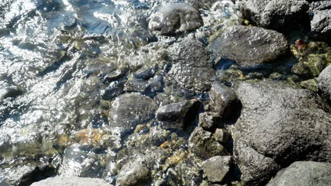 Mountain Lake Stock-Footage 314075590