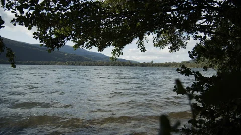 Mountain lake in the forest during summer Stock Footage 165747666