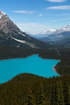 Mountain lake in the forest Stock Photos